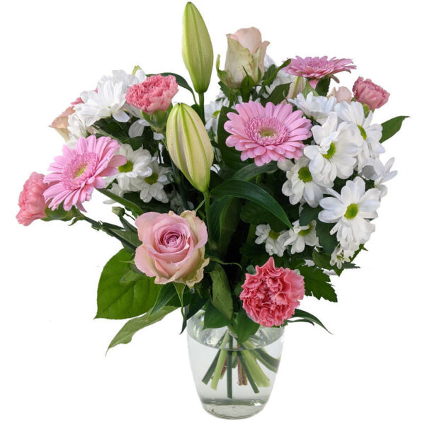 Cottage Garden Flowers Cheap Flowers by Post UK