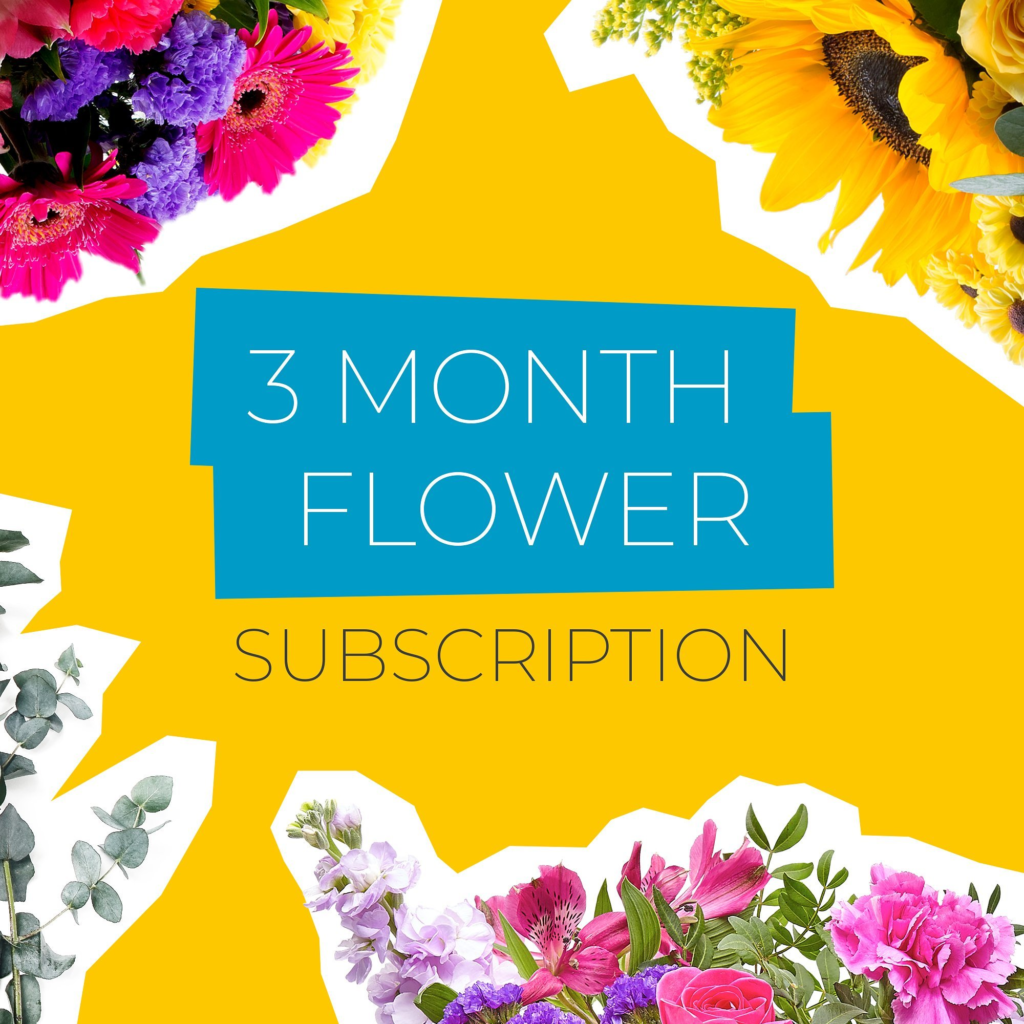 3 Month Flower Subscription Cheap Flowers by Post UK
