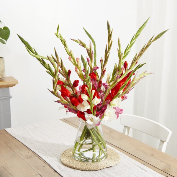 British Mixed Gladioli Cheap Flowers by Post UK