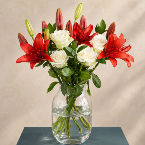 Christmas Rose & Lily